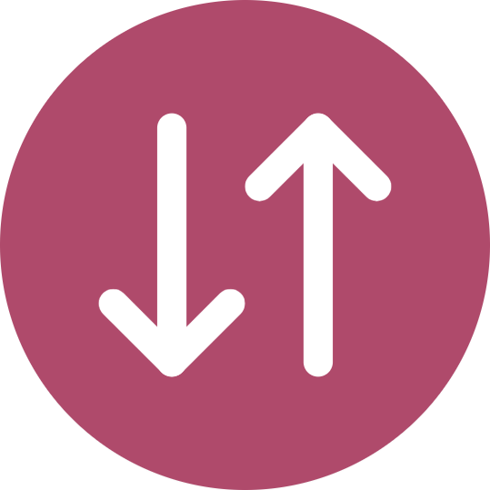 Server Monitor Icon